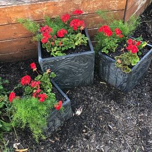 Meet your Posher, Wendy